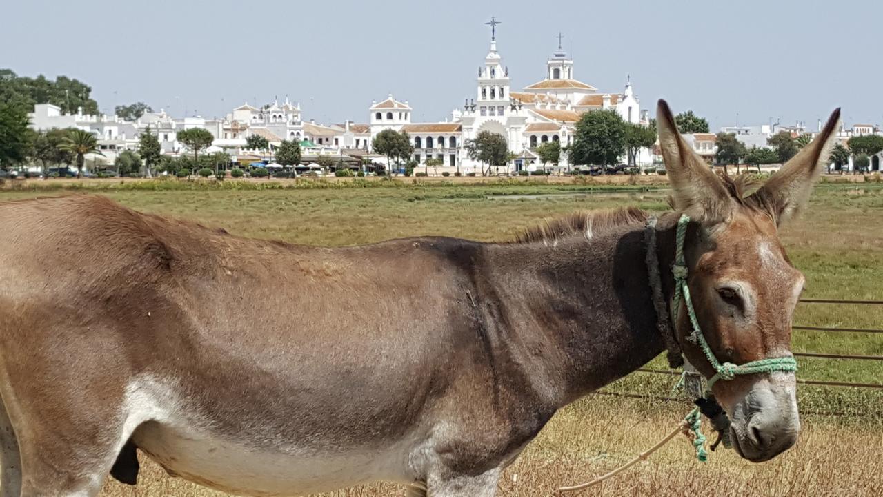 Hospederia Rural Las Buganvillas Эль-Росио Экстерьер фото