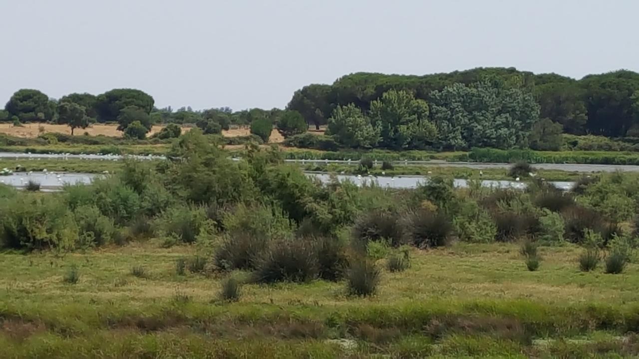 Hospederia Rural Las Buganvillas Эль-Росио Экстерьер фото